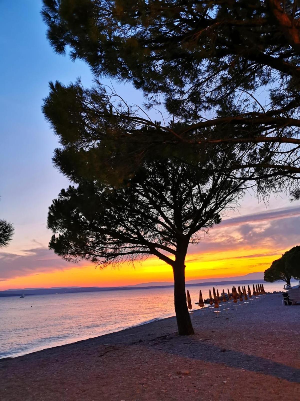 Ivana Apartman 2 Crikvenica Esterno foto